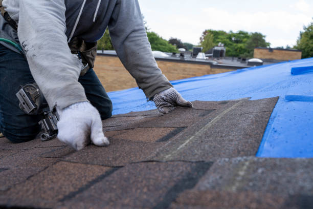 Best Storm Damage Roof Repair  in Wheaton, MD
